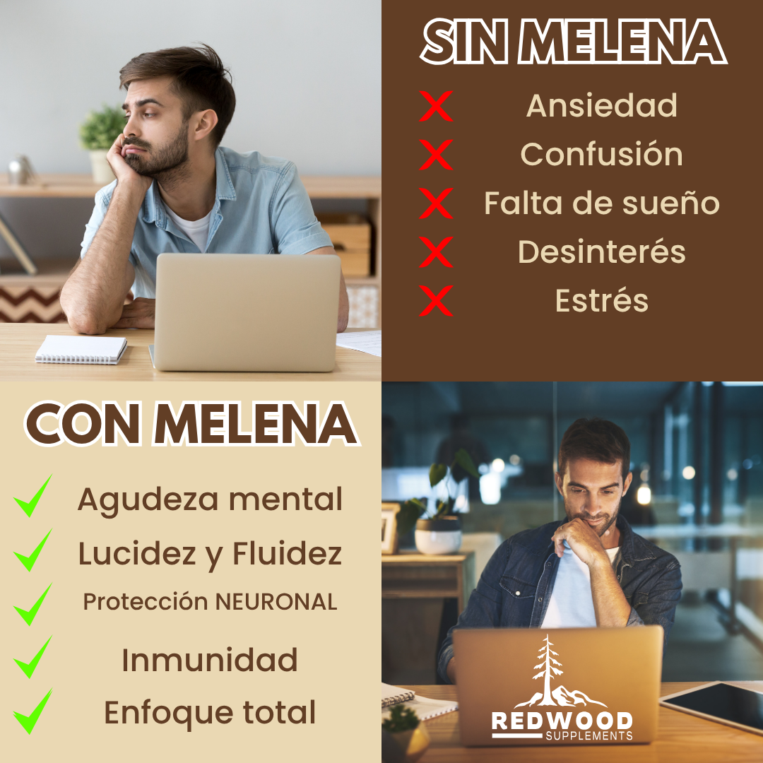 MELENA DE LEON ORGANICA HONGO MELENA DE LEÓN 18000MG REDWOOD