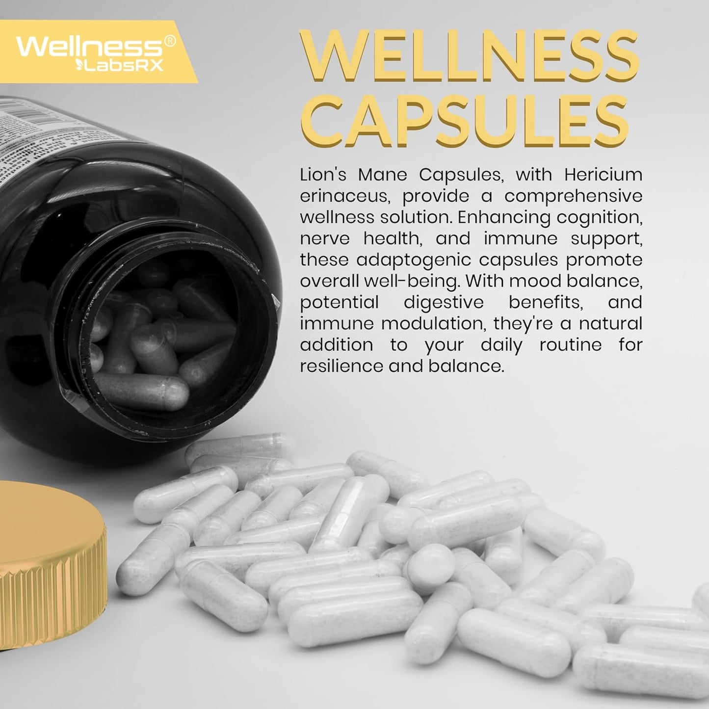 MELENA DE LEÓN HONGO ORGÁNICO 15000 MG WELLNESS