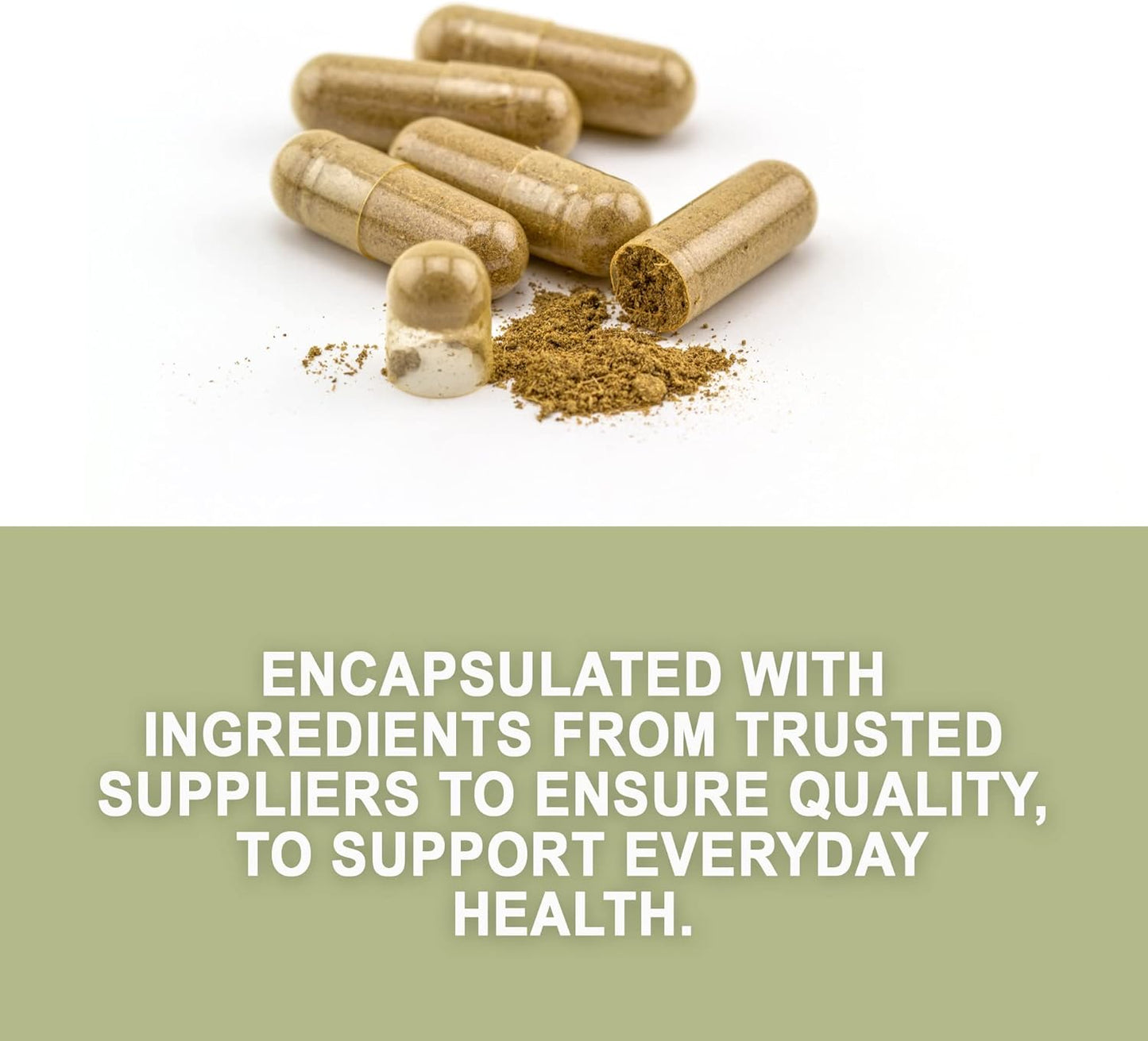 CUACHALALATE 450MG 90 CAPSULAS