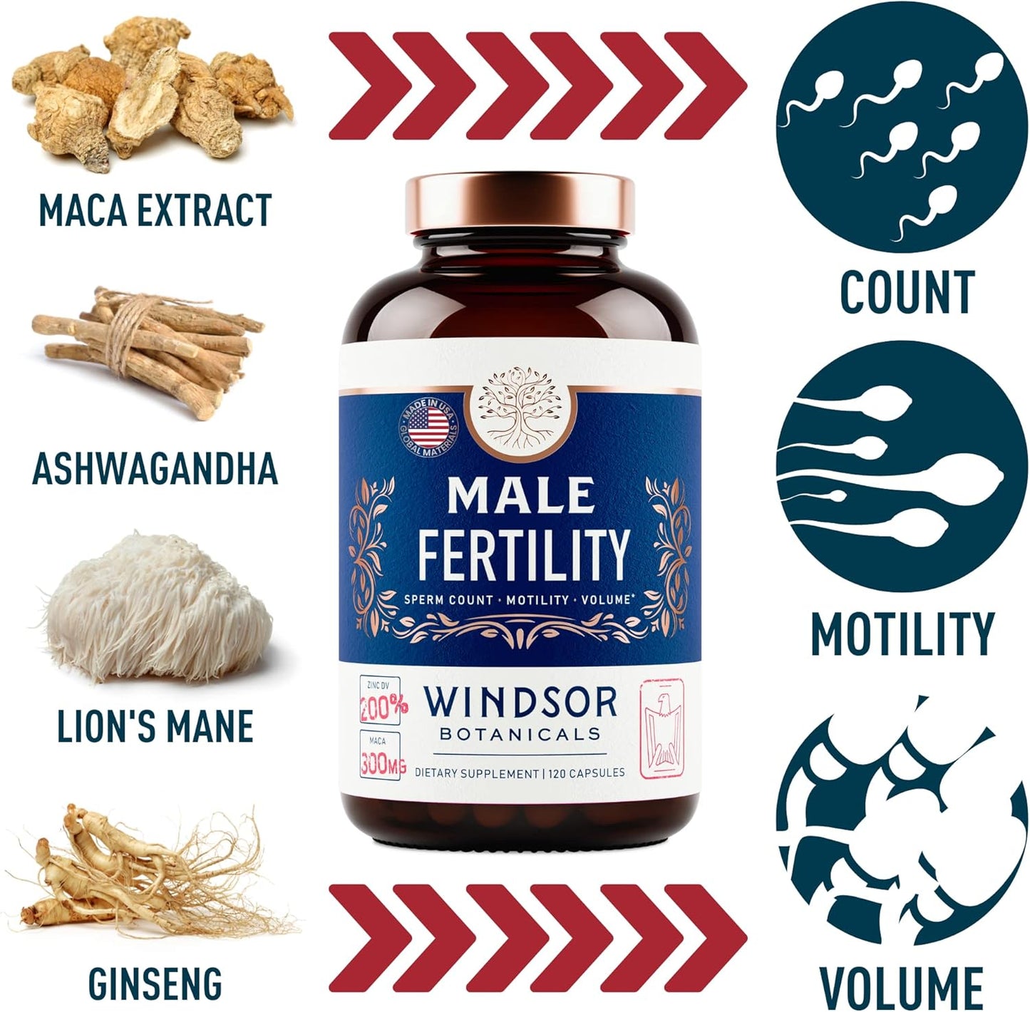 FERTILIDAD MASCULINA SUPLEMENTO PARA HOMBRES WINDSOR BOTANICALS