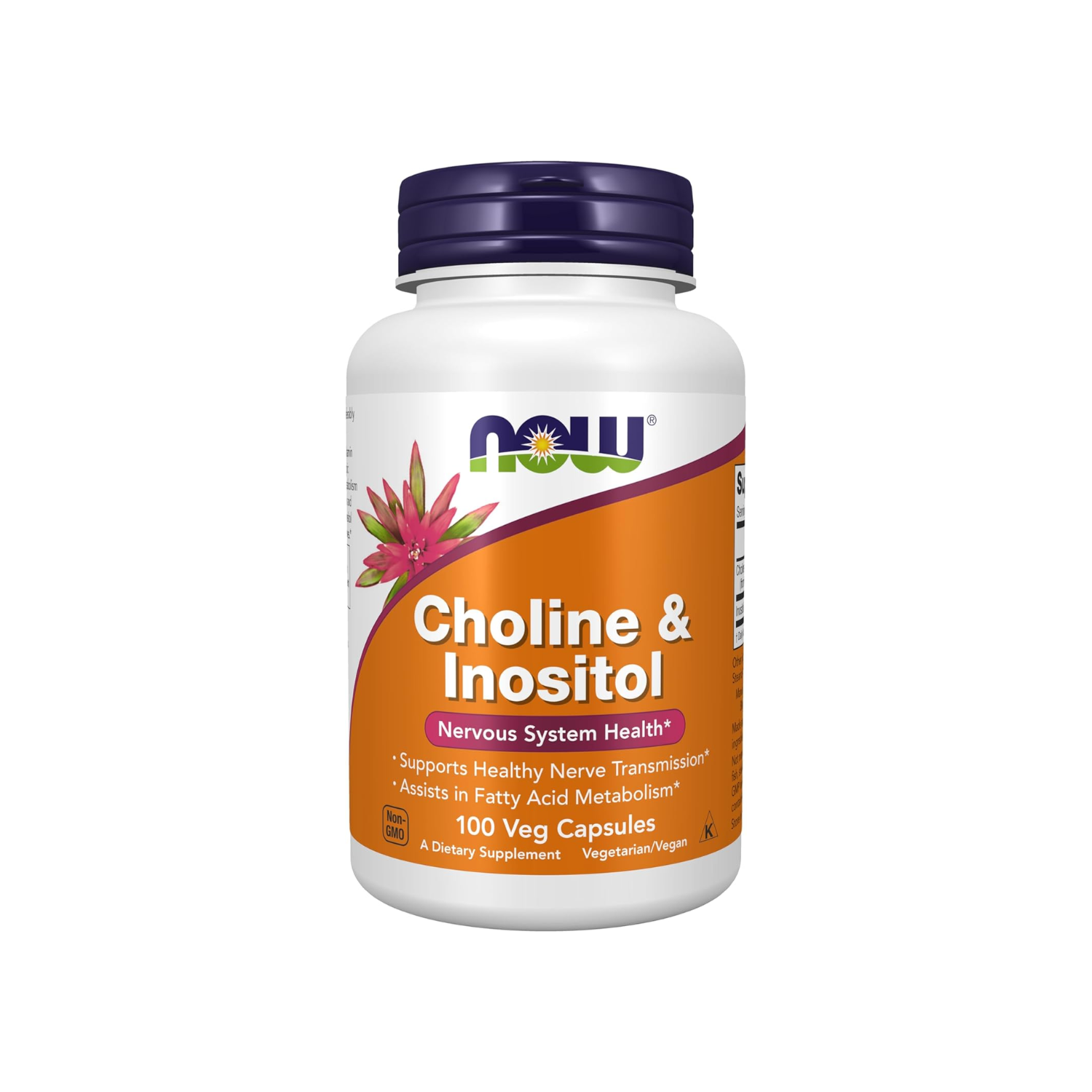 CHOLINA + INOSITOL 500 MG SOPORTE SISTEMA INMUNE