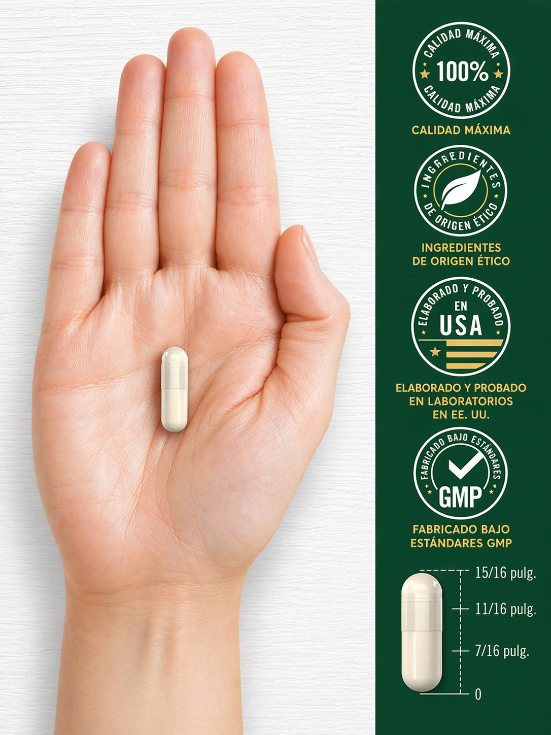 GLICINATO DE MAGNESIO CON ASHWAGANDHA 2740MG 120 CÁPSULAS CARLYLE
