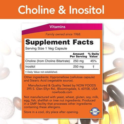 CHOLINA + INOSITOL 500 MG SOPORTE SISTEMA INMUNE